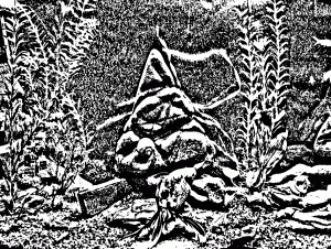 gallery_33939_2284_2118123.gif