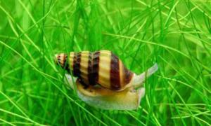 gallery_17653_2302_4155.jpg
