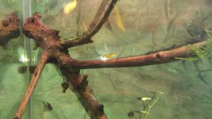 gallery_21895_2141_759352.jpg
