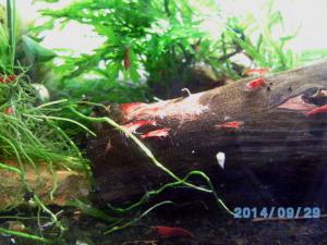 gallery_23332_2325_202200.jpg