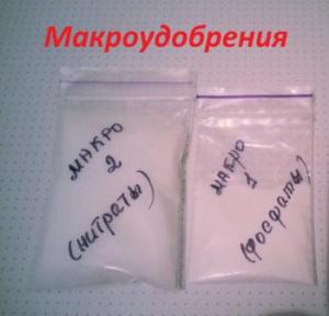 gallery_9950_2328_1110.jpg