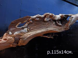 gallery_35429_2363_25694.jpg