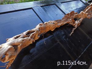 gallery_35429_2363_44584.jpg