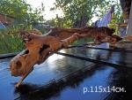 tn_gallery_35429_2363_1846.jpg
