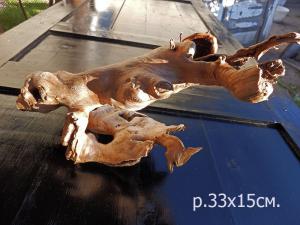 gallery_35429_2363_13857.jpg