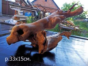 gallery_35429_2363_71537.jpg