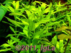 gallery_11289_2372_118168.jpg