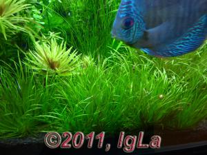 gallery_11289_2372_151615.jpg
