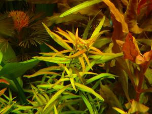 gallery_11289_2372_23362.jpg