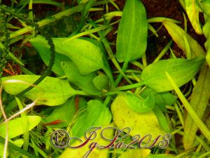 gallery_11289_2372_318066.jpg