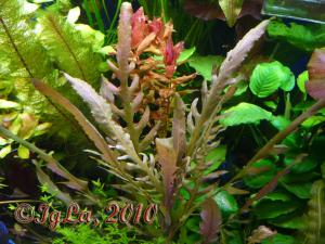 gallery_11289_2372_57181.jpg