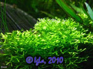 gallery_11289_2372_22498.jpg