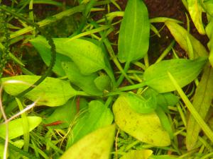 gallery_11289_2372_496729.jpg
