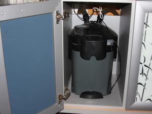 gallery_10148_2397_122351.jpg