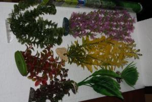 gallery_10148_2397_63546.jpg