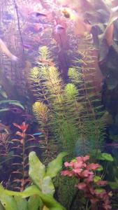 gallery_36066_2409_609301.jpg