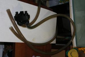 gallery_10148_2438_14265.jpg