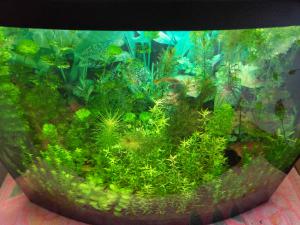 gallery_18717_2461_1847866.jpg