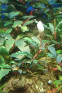 gallery_35013_2469_82759.jpg