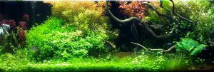 gallery_21408_2285_60430.jpg