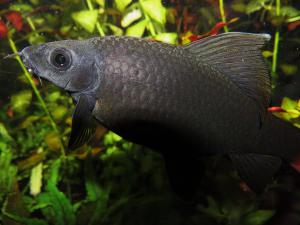 gallery_23050_1605_1610461.jpg