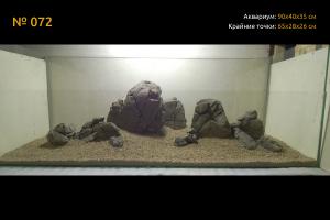 gallery_33073_2447_235275.jpg