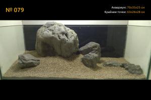 gallery_33073_2447_469765.jpg