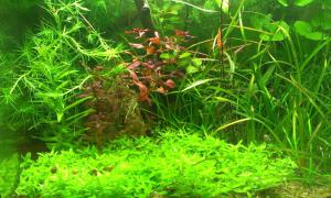 gallery_36349_2510_762397.jpg