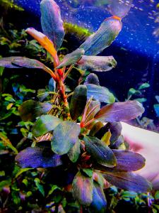 gallery_17686_2020_1268467.jpg