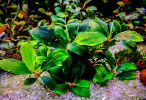 gallery_17686_2020_389607.jpg