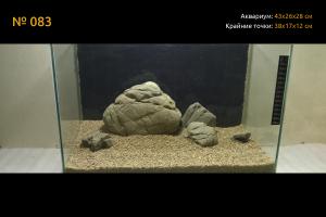 gallery_33073_2447_383078.jpg