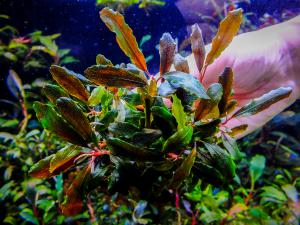 gallery_17686_2020_116712.jpg
