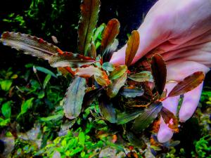 gallery_17686_2020_169616.jpg