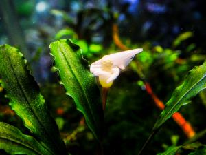 gallery_17686_2020_214626.jpg