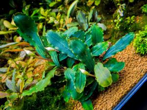 gallery_17686_2020_32859.jpg