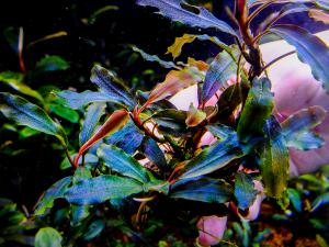 gallery_17686_2020_380258.jpg