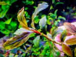 tn_gallery_17686_2020_352182.jpg