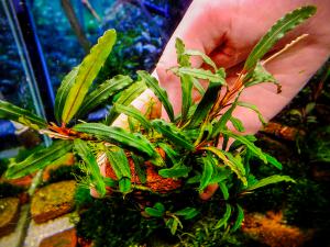 gallery_17686_2020_1082568.jpg