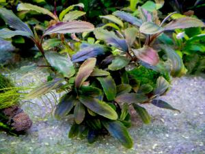 gallery_17686_2020_115921.jpg