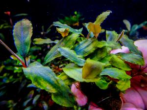 gallery_17686_2020_808392.jpg