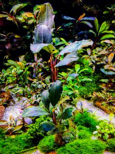 gallery_17686_2020_375571.jpg