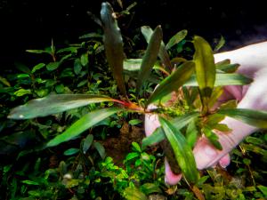 gallery_17686_2020_545125.jpg