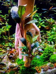 gallery_17686_2020_549832.jpg
