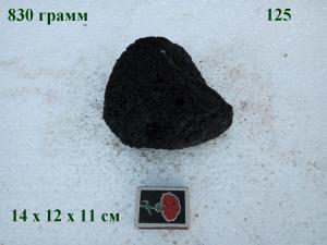 gallery_4735_2545_11760.jpg
