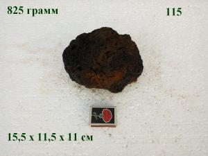 gallery_4735_2545_16845.jpg