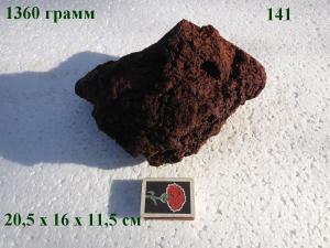 gallery_4735_2545_173938.jpg