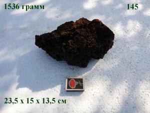 gallery_4735_2545_6500.jpg