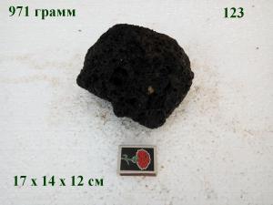 gallery_4735_2545_94555.jpg