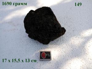 gallery_4735_2545_108655.jpg