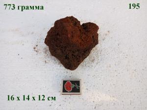 gallery_4735_2545_124713.jpg